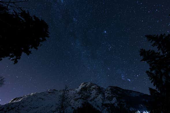 Observación de estrellas en el bosque vetón de Cabezabellosa