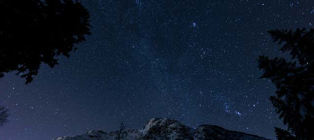 Observación de estrellas en el bosque vetón de Cabezabellosa