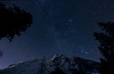 Observação de estrelas no bosque Vetão de Cabezabellosa