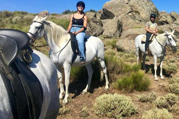 Passeggiata a cavallo nel bosco vettoniano di Cabezabellosa