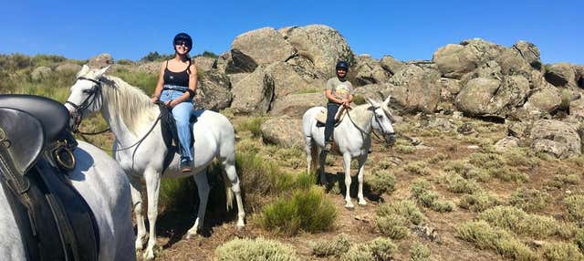 Balade à cheval dans la forêt de Vettón de Cabezabellosa