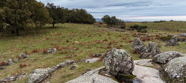 Randonnée dans la forêt vettone de Cabezabellosa