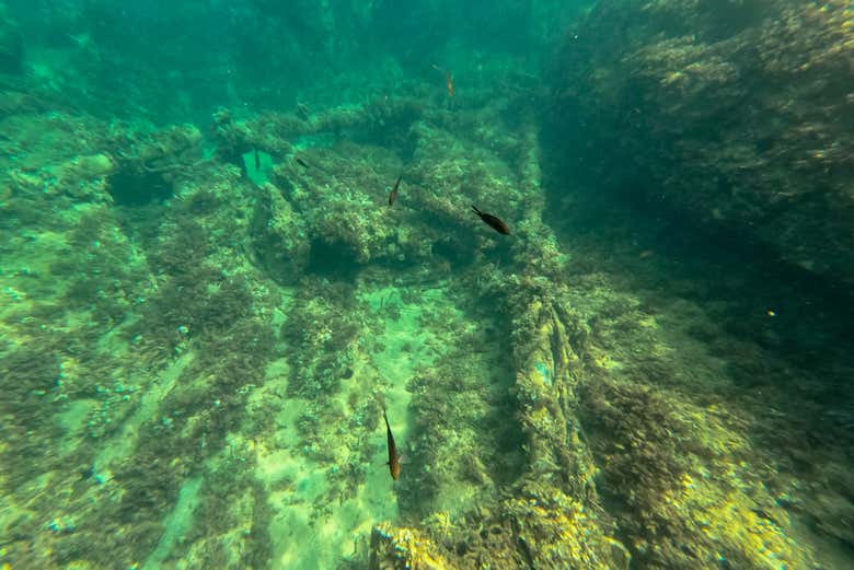 Vestigios de un barco hundido