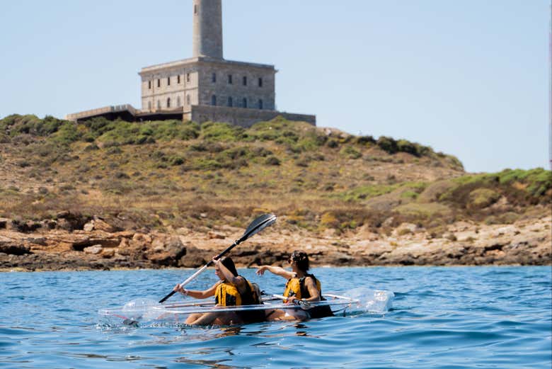 Paddle, paddle, paddle!