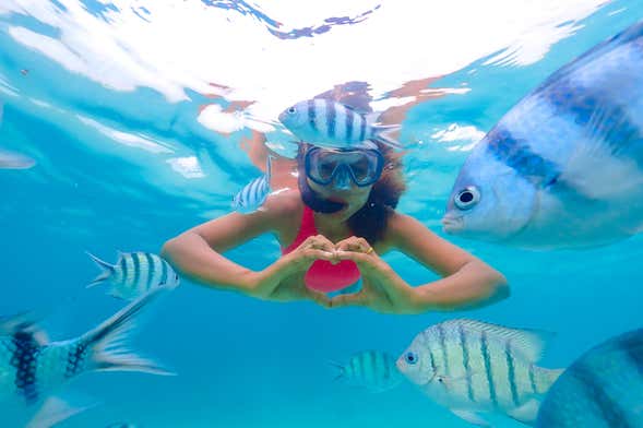 Snorkel en Cabo de Palos