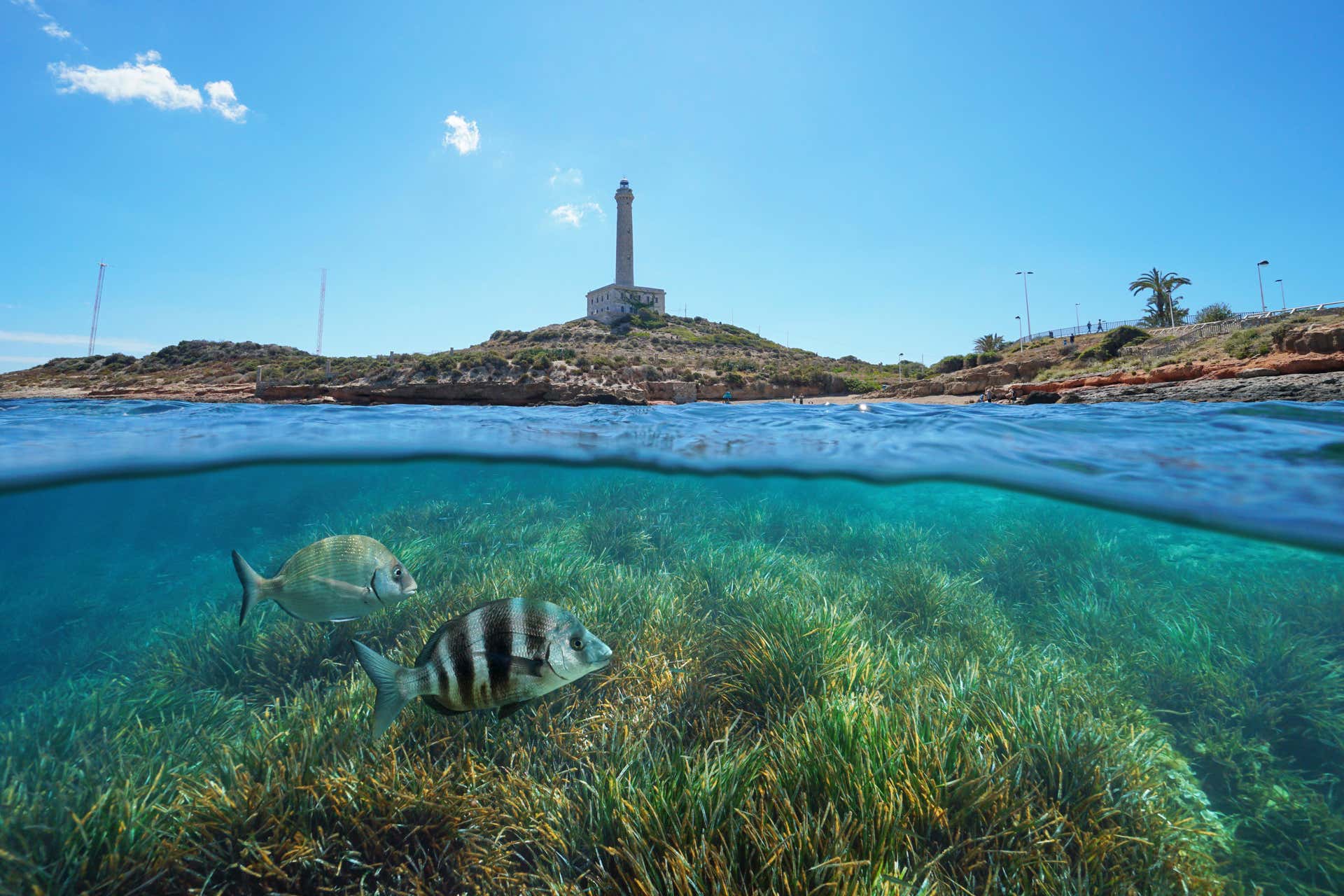 Visita guiada por Cabo de Palos y el Faro