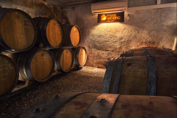 Visita a la bodega Mas Vicenç