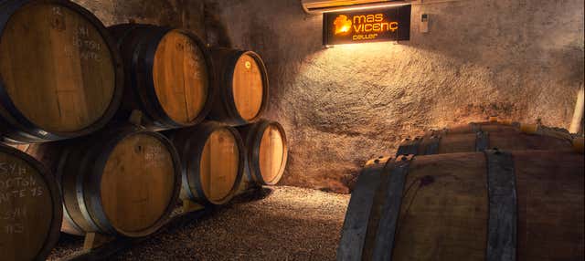 Visita a la bodega Mas Vicenç