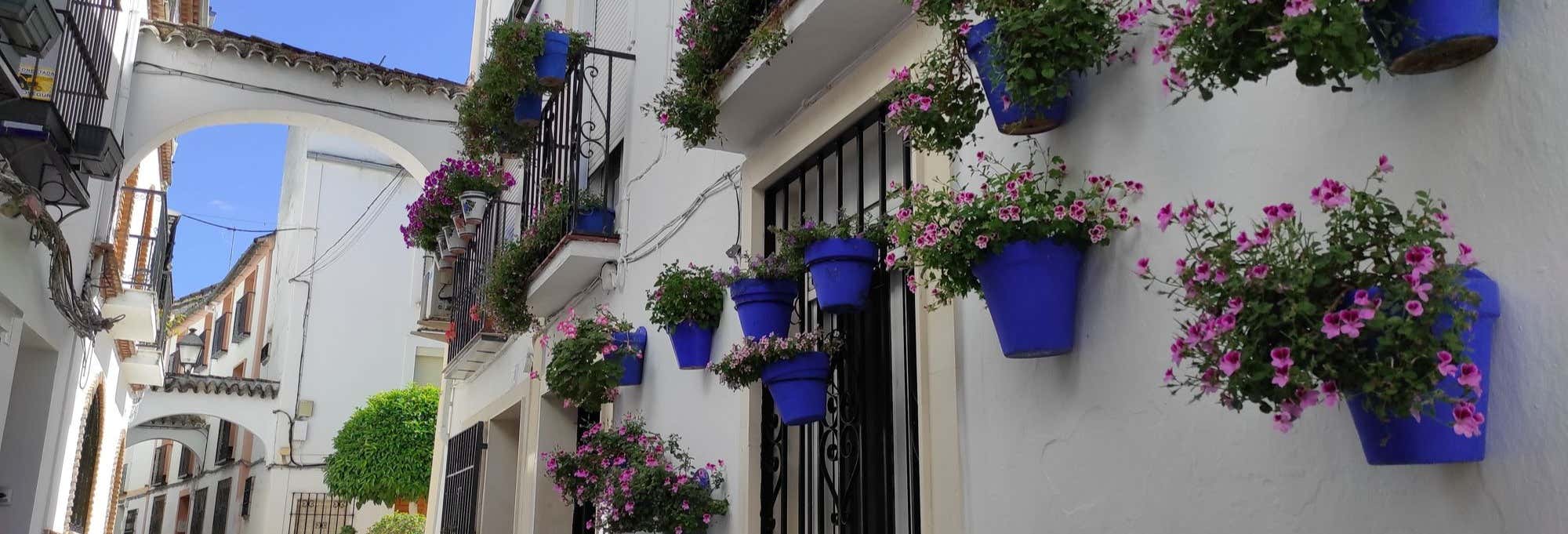 Visitas guiadas y free tours en Cabra