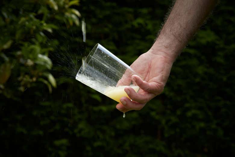 Veremos como servem a sidra