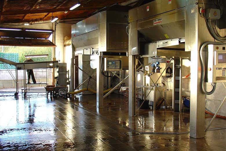 Máquinas para elaborar sidra