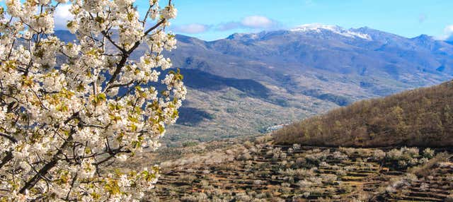 Excursión al Valle del Jerte