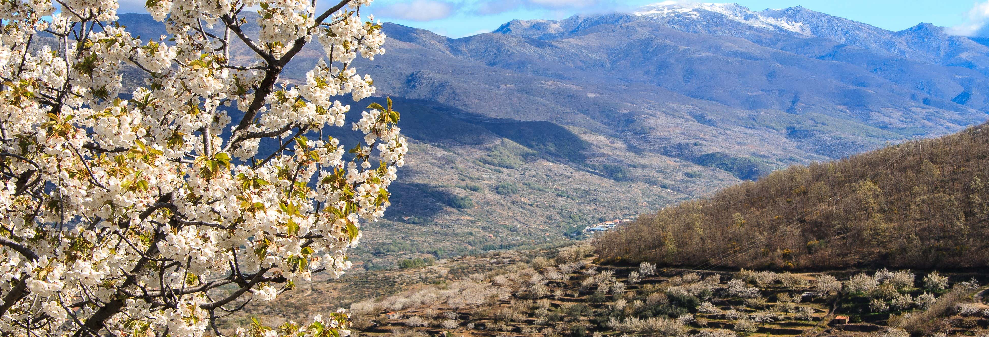 Excursiones de un día desde Cáceres