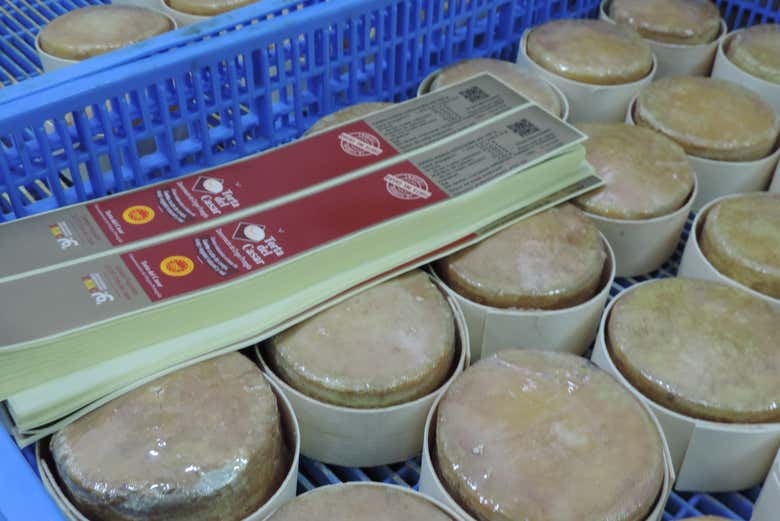 Tortas de queso listas para preparar para la venta