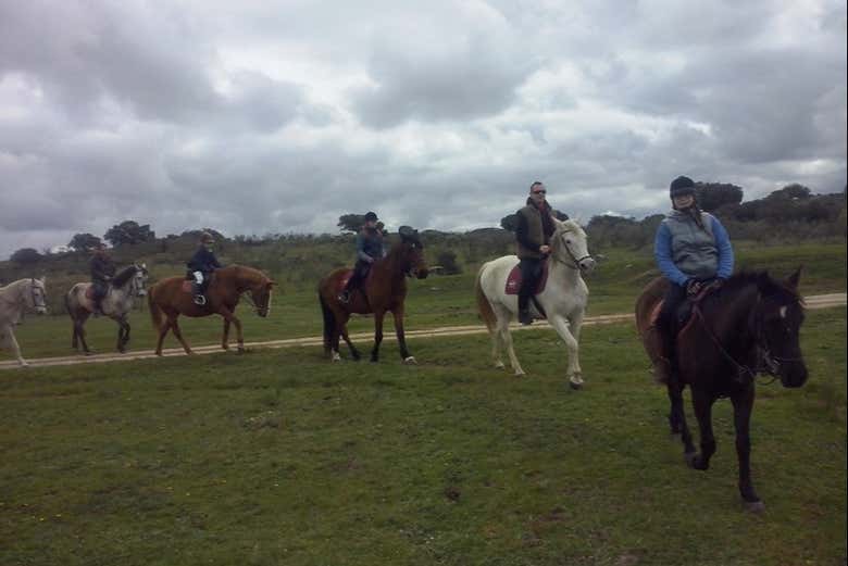 Desfrutando da excursão a cavalo