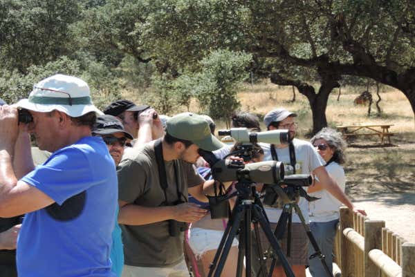 Un groupe de touristes observant les oiseaux