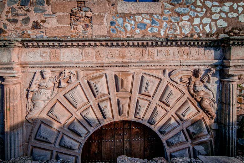 Gain insights into intricate details