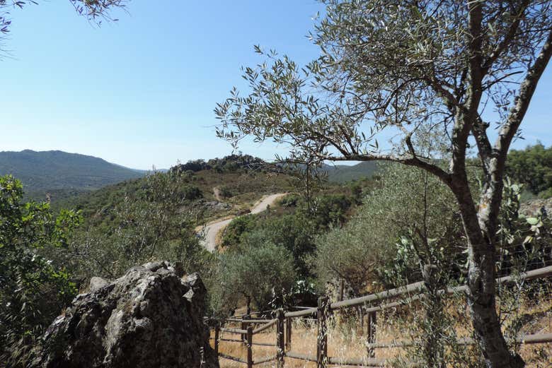 Paisajes extremeños de camino a la Mina Pastora