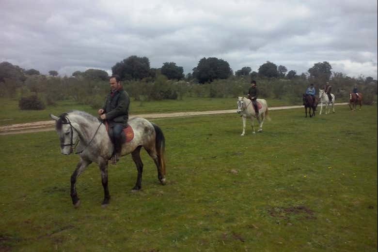 Passeio a cavalo pelas paisagens de Cáceres