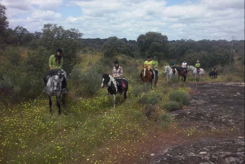 Durante o passeio a cavalo
