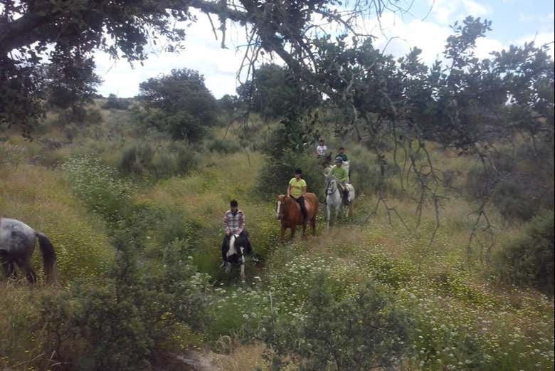 Tour a cavalo pelos campos da Estremadura