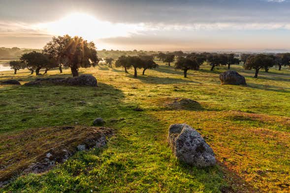 Tour en 4x4 por la dehesa de Cáceres