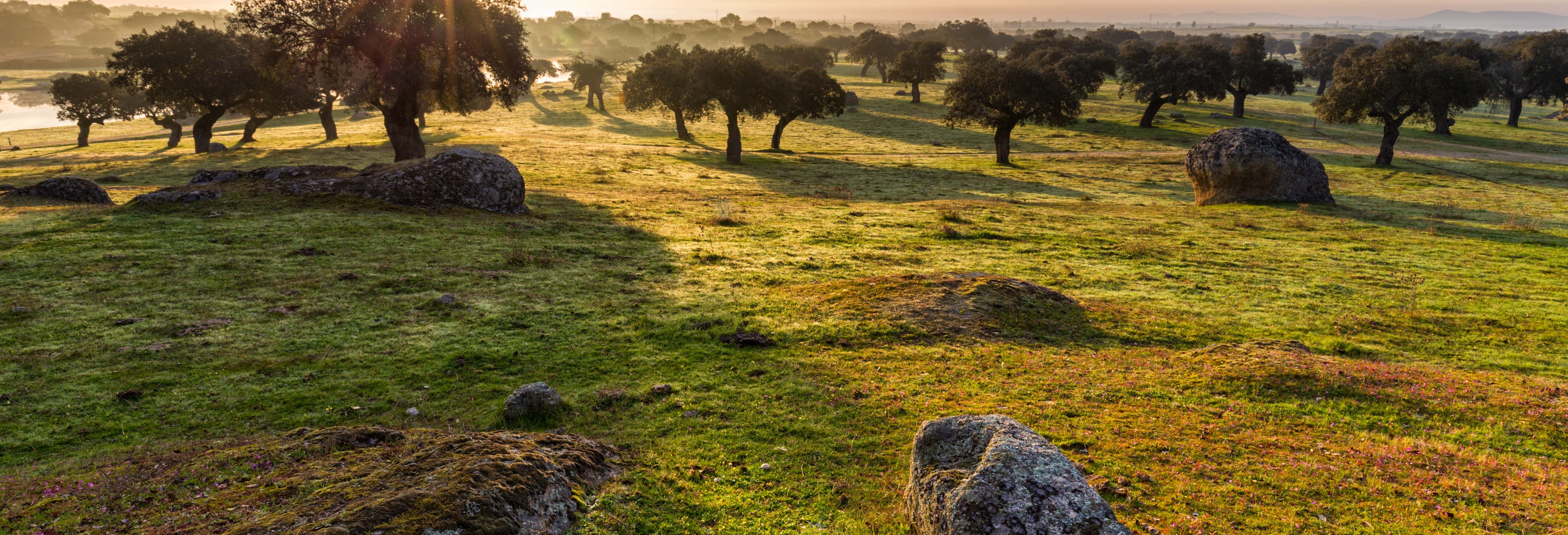 Excursões de um dia em Cáceres