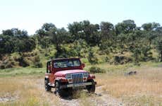 Tour en 4x4 por la Sierra de San Pedro