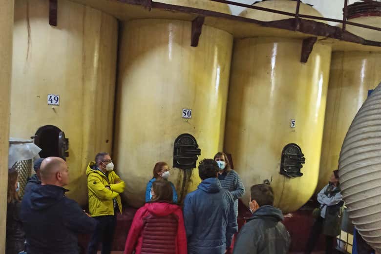 Contemplando las enormes tinajas de la bodega