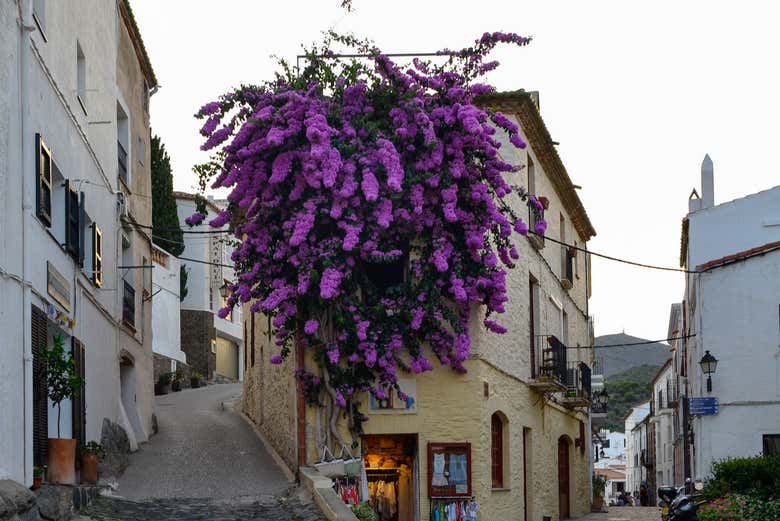 Vous découvrirez les principaux lieux de Cadaqués