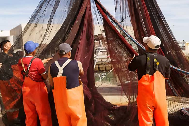 Pescadores en la lonja de Cádiz 