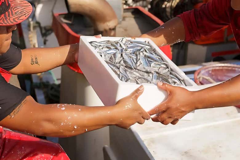 Pescado fresco