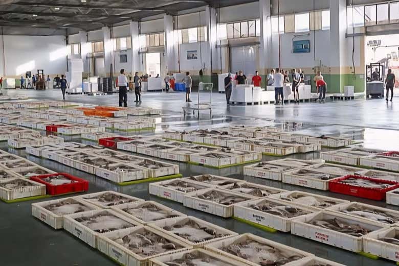 Subasta de pescado en la lonja de Cádiz