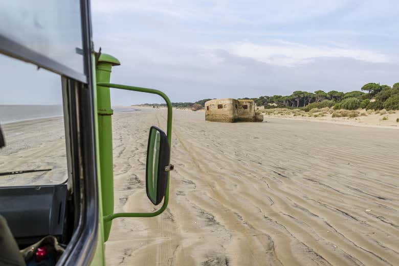 Dunas del Parque Natural de Doñana