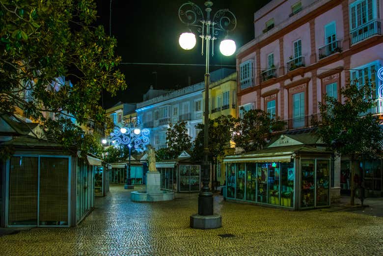 Alumbrado navideño en Plaza de las Flores