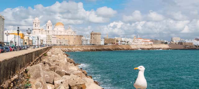 Tour privado por Cádiz ¡Tú eliges!