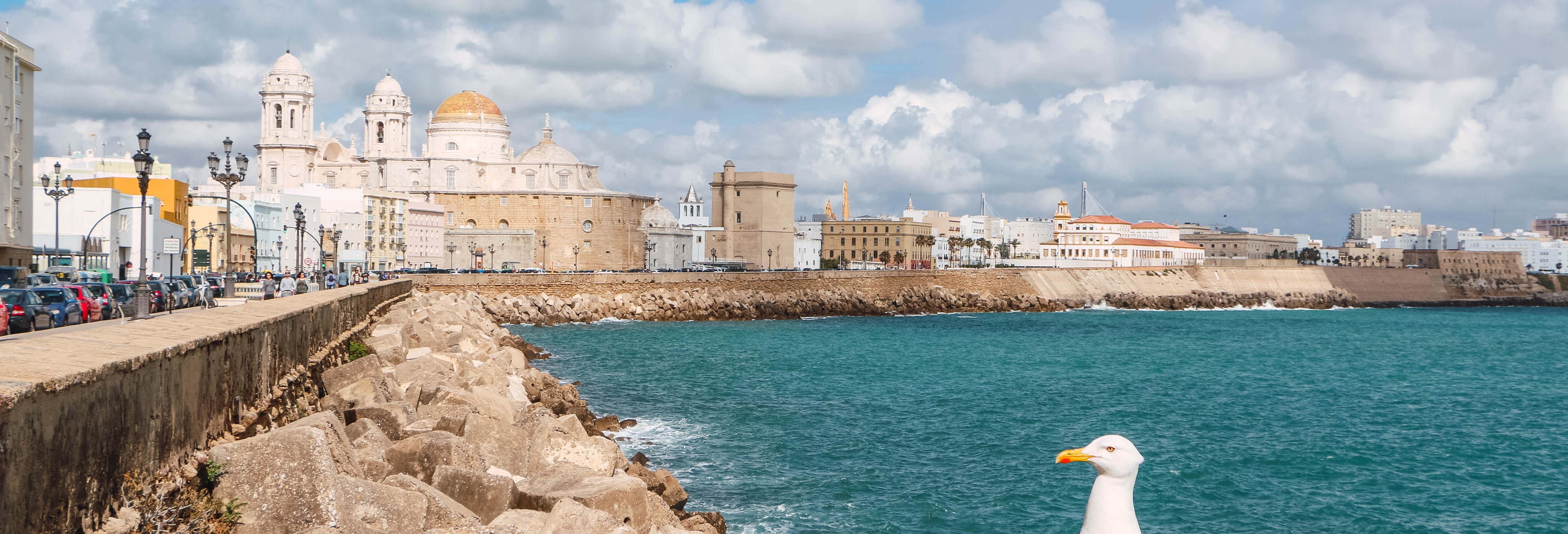 Visitas guiadas y free tours en Cádiz