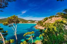Mallorca East Coast Catamaran Cruise