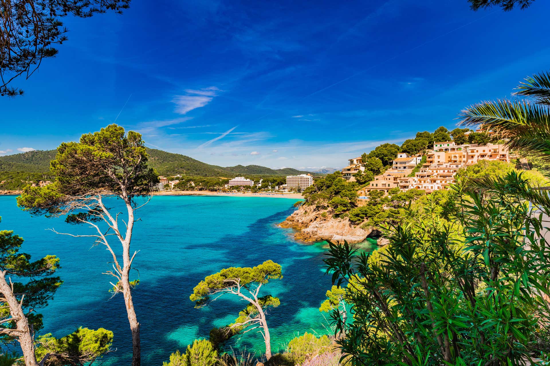 Passeio de catamarã pela costa leste de Mallorca