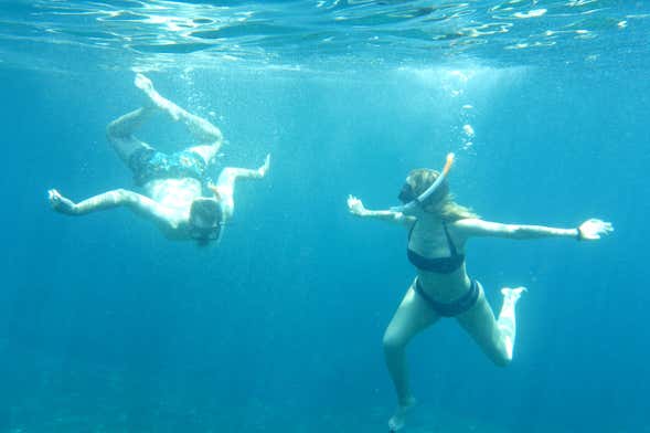 Snorkeling e paddle surf