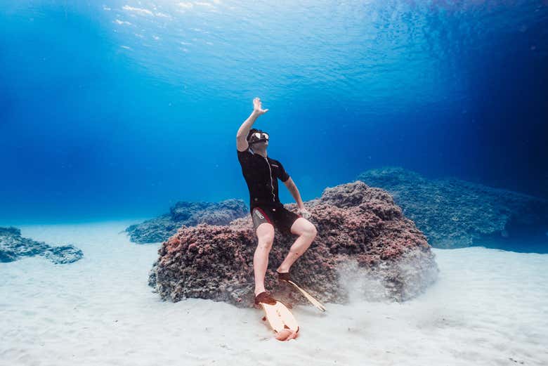 Saluez vos amis sous l'eau