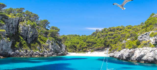 Paseo en barco por las calas del sur desde Cala Galdana