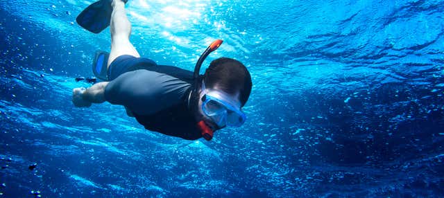 Snorkel en Macarella y Cala Trebalúger