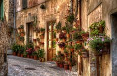 Excursión a Palma y Valldemosa