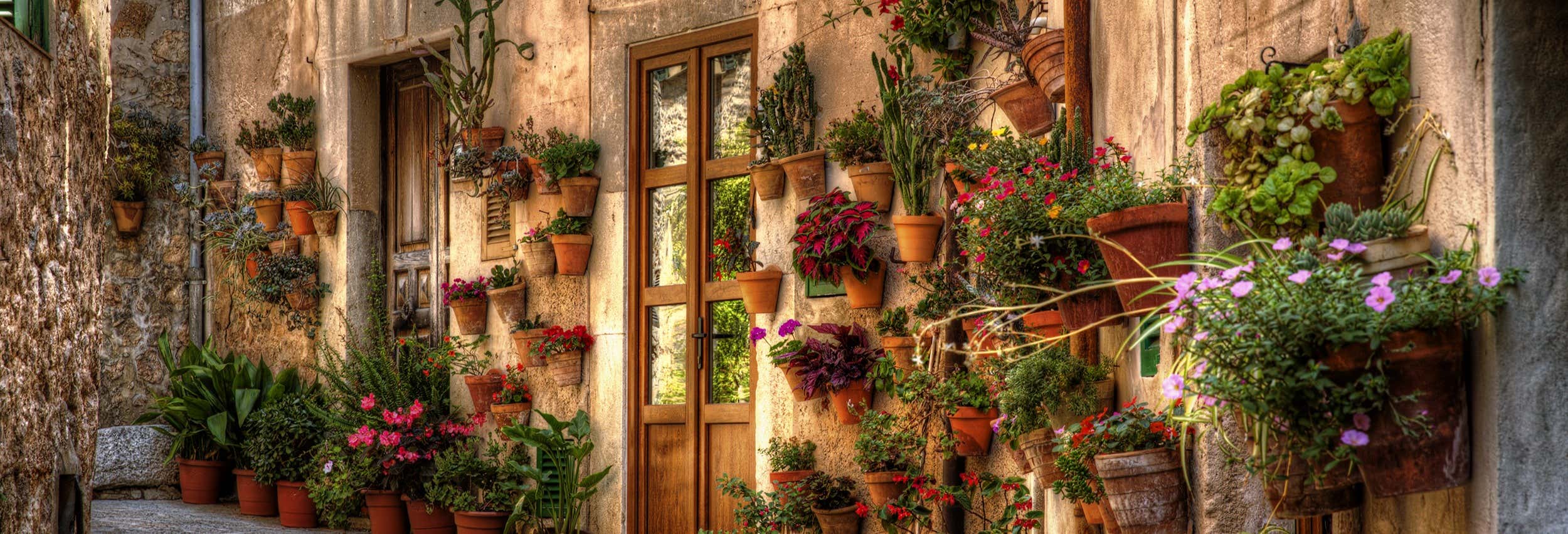 Day trips in Cala Millor