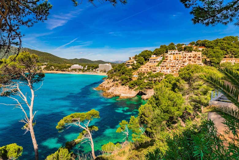 Costa di Canyamel