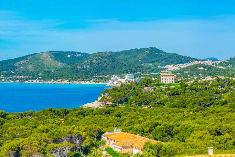 Cap Vermell