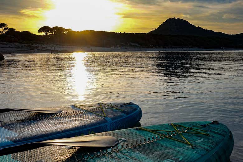 Tablas de paddle surf en Cala Rajada