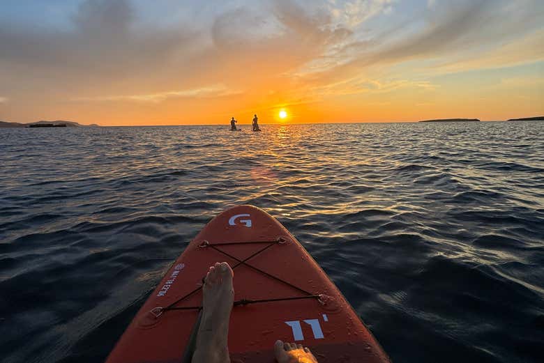 Veremos cómo el sol se esconde en el mar