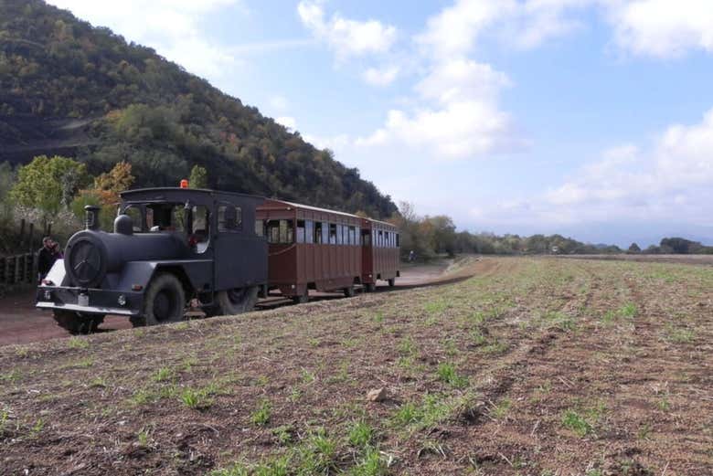 En trenecito por el corazón de la Garrocha